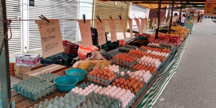 Dicas para aproveitar as feiras livres em Santo André