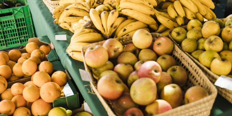 Benefícios das Feiras Livres no Rio de Janeiro