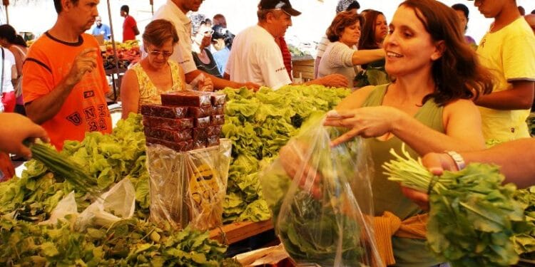 Feiras Livres em Londrina: veja os locais, dias e horários de funcionamento