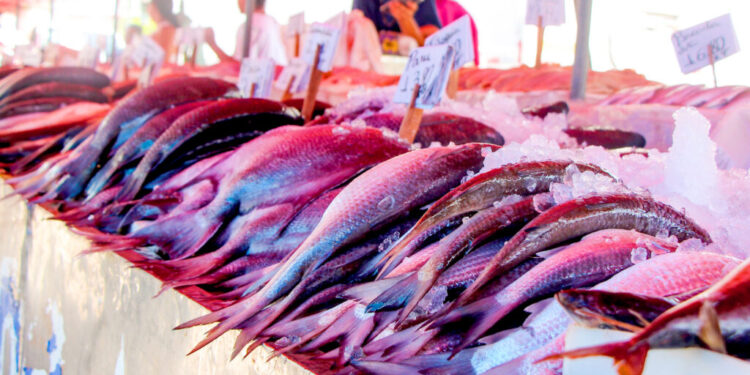 Feira livre ou supermercado: qual escolher?