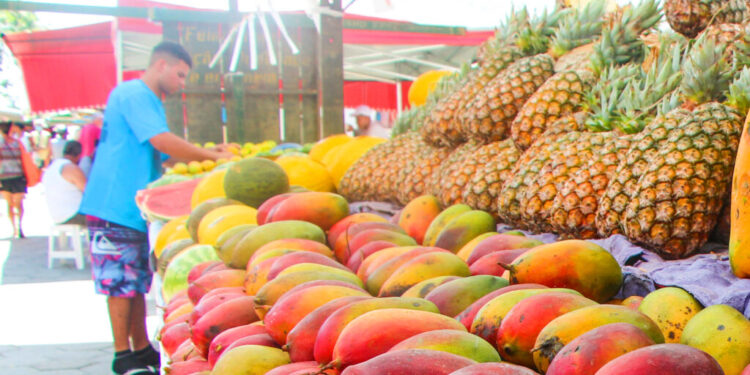 Os principais produtos vendidos nas feiras livres em são Caetano do Sul: