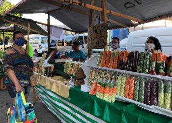 Feiras Livres no Rio de Janeiro: Locais, Dias e Horários de Funcionamento