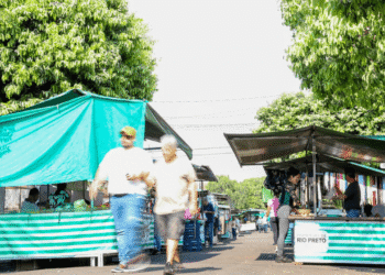 Feiras Livres em São José do Rio Preto