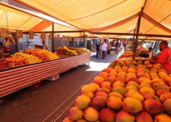 Feiras livres em Mauá: Locais, Horários e Dias de Funcionamento