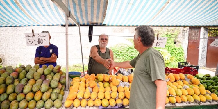 Feiras livres em Mongaguá