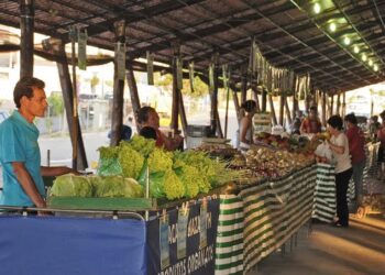 Feiras livres em Piracicaba: guia completo com horários, locais e varejões municipais