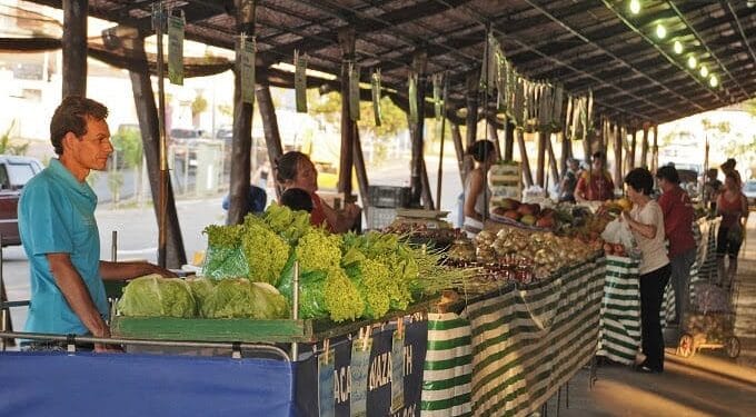 Feiras livres em Piracicaba: guia completo com horários, locais e varejões municipais