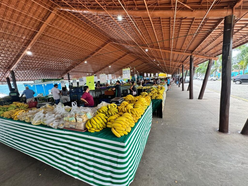 Benefícios das feiras livres em Piracicaba