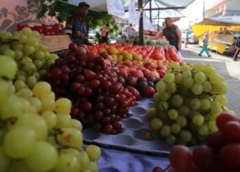 Feiras livres em Suzano: Locais, Horários e Dias de Funcionamento