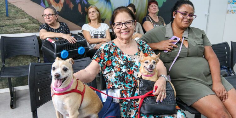 Veterinário Gratuito em SBC: Hospital Público Veterinário de São Bernardo do Campo