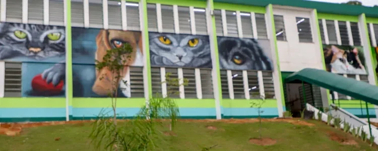 Veterinário Gratuito em Osasco: Saiba como funciona o Hospital Público Veterinário em Osasco