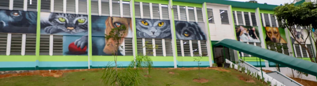 Veterinário Gratuito em Osasco: Saiba como funciona o Hospital Público Veterinário em Osasco