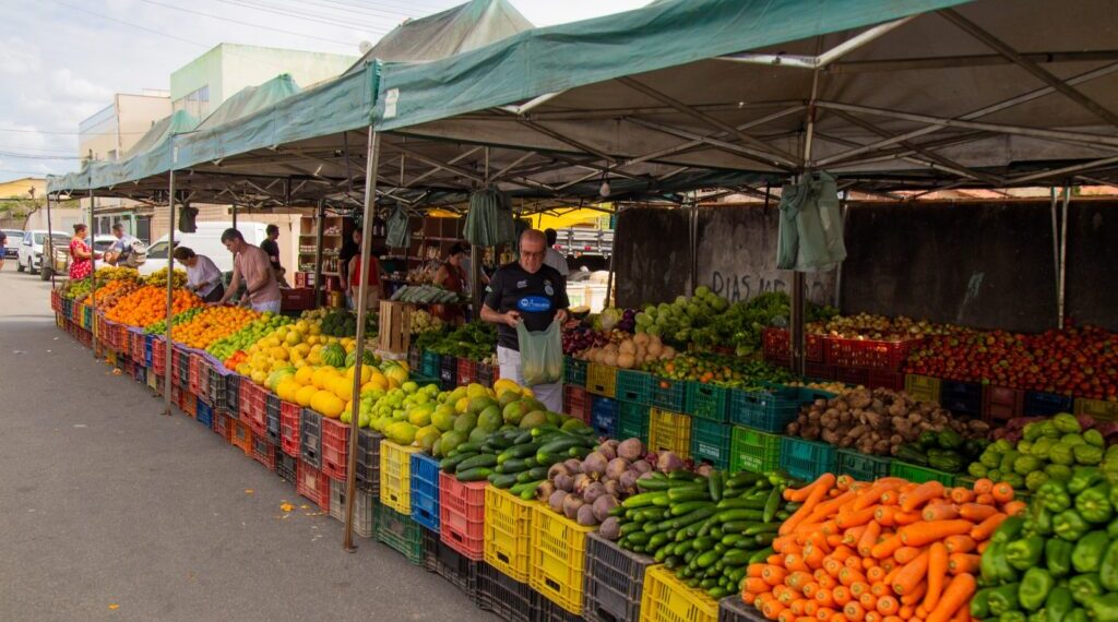feiras livres em blumenau hoje