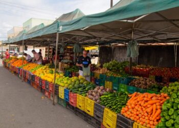 feiras livres em blumenau hoje