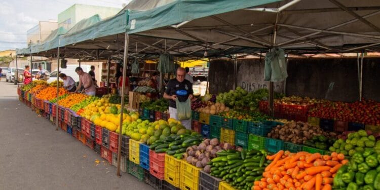 feiras livres em blumenau hoje