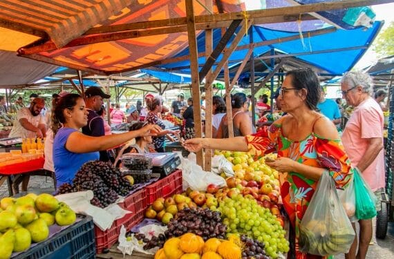 Feiras livres em Natal – RN: confira os locais e dias de funcionamento