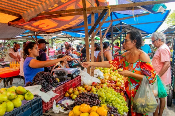 Feiras livres em Natal – RN: confira os locais e dias de funcionamento