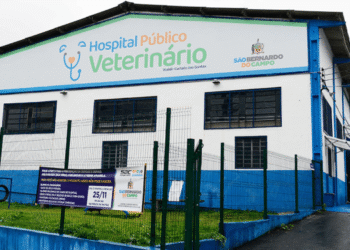 Veterinário Gratuito em SBC: Saiba como funciona o Hospital Público Veterinário de São Bernardo