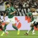 Clássico entre Corinthians e Palmeiras foi recorde de audiência no Paulistão na Gringa (Crédito: divulgacao-palmeiras)