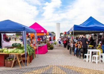 Saiba onde tem feira em são josé dos linhais hoje:
