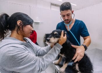 Hospital Veterinário no Tatuapé