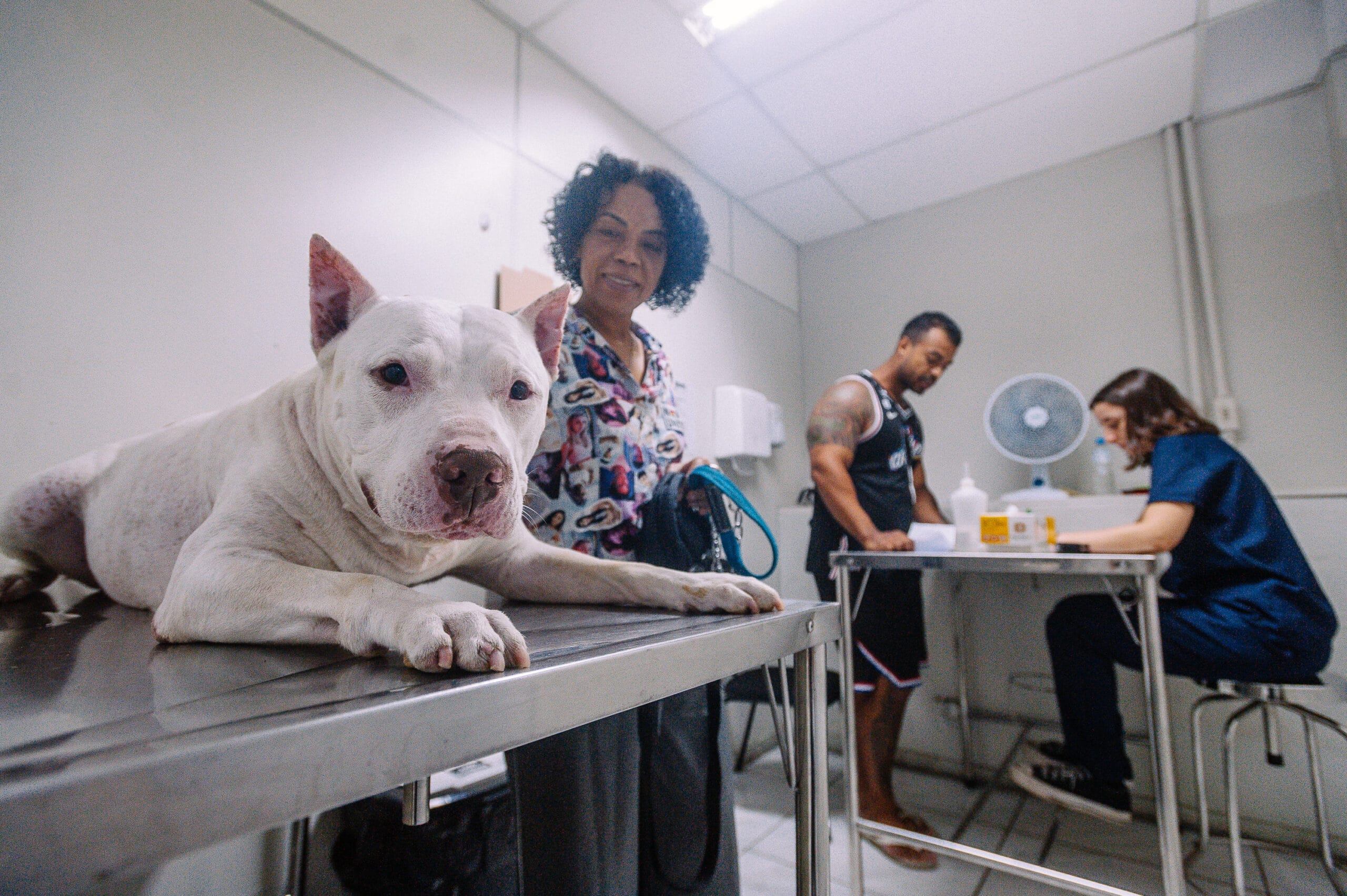 Hospital Veterinário no Tatuapé 