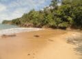 Praia da Caçandoquinha Ubatuba - praia selvagem com águas cristalinas e areia escura no extremo sul de Ubatuba