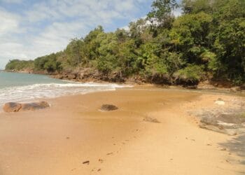 Praia da Caçandoquinha Ubatuba - praia selvagem com águas cristalinas e areia escura no extremo sul de Ubatuba