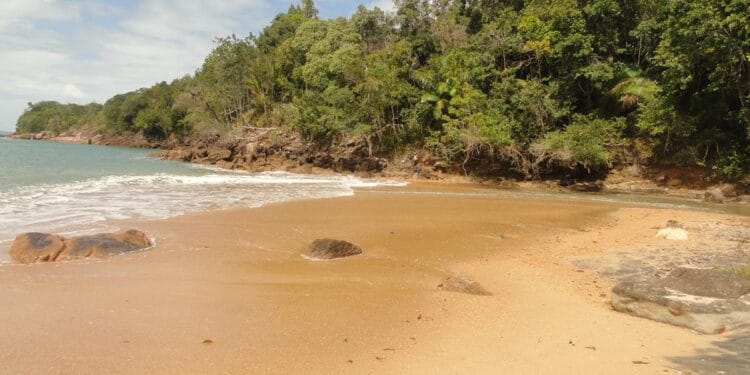 Praia da Caçandoquinha Ubatuba - praia selvagem com águas cristalinas e areia escura no extremo sul de Ubatuba