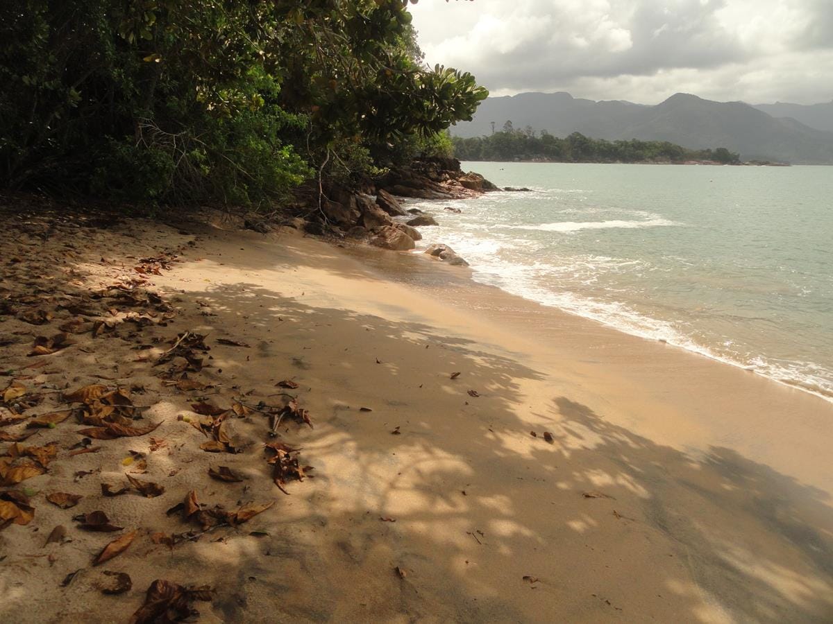 Praia da Caçandoquinha Ubatuba - praia selvagem com águas cristalinas e areia escura no extremo sul de Ubatuba