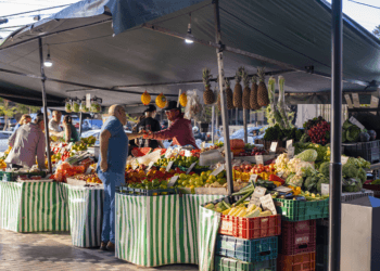 Feiras livres em Curitiba – PR: Todos os Bairros, Horários e Tipos de Feira