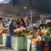 Feiras livres em Curitiba – PR: Todos os Bairros, Horários e Tipos de Feira