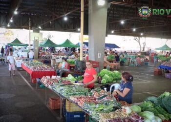 Feiras Livres em Rio Verde - GO