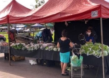 Confira todas as feiras livres em Ituiutaba com endereços, dias e horários atualizados. Saiba onde comprar produtos frescos do Pontal do Triângulo Mineiro hoje!