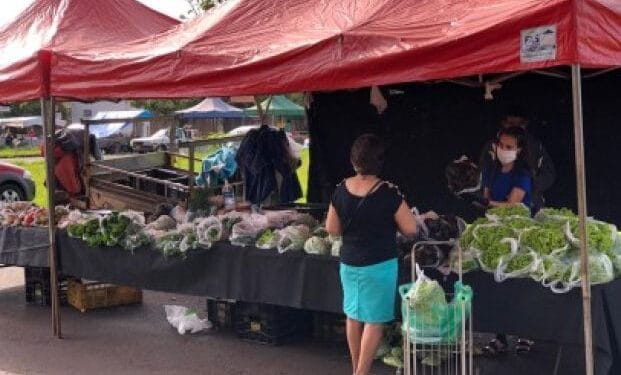 Confira todas as feiras livres em Ituiutaba com endereços, dias e horários atualizados. Saiba onde comprar produtos frescos do Pontal do Triângulo Mineiro hoje!