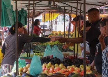 Feiras livres em Fortaleza