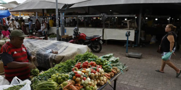feiras livres em São Sebastião