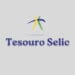 Tesouro Selic investimento renda fixa como funciona 2026